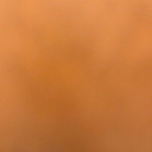 Meet your Posher, Karmjit